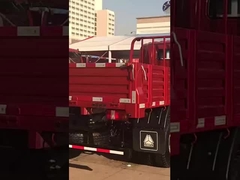 Howo 4*2 کامیون سبک کامیون باربری